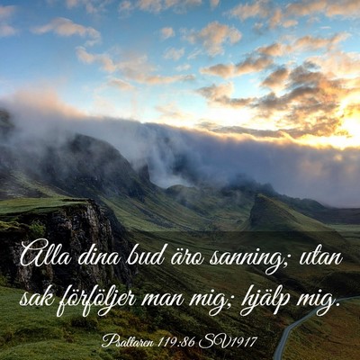 Picture 03 - Psaltaren 119:86 SV1917 - Alla dina bud äro sanning; utan sak förföljer - Bible Verse Picture