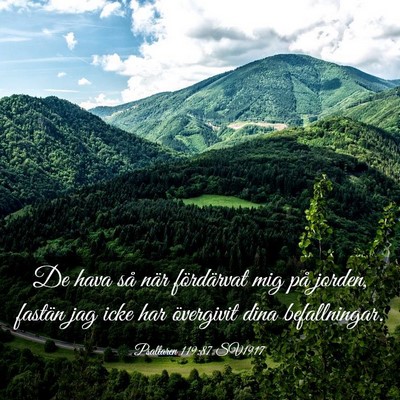 Picture 03 - Psaltaren 119:87 SV1917 - De hava så när fördärvat mig på jorden, - Bible Verse Picture