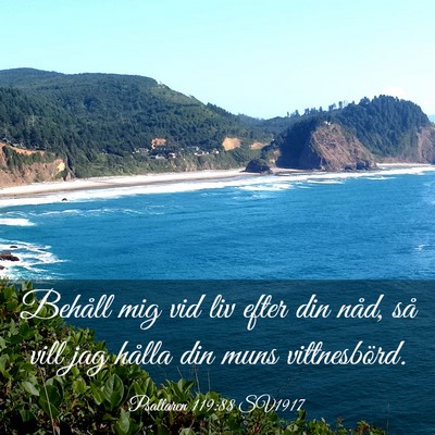 Picture 03 - Psaltaren 119:88 SV1917 - Behåll mig vid liv efter din nåd, så vill jag - Bible Verse Picture