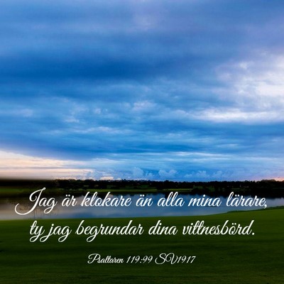 Picture 03 - Psaltaren 119:99 SV1917 - Jag är klokare än alla mina lärare, ty jag - Bible Verse Picture