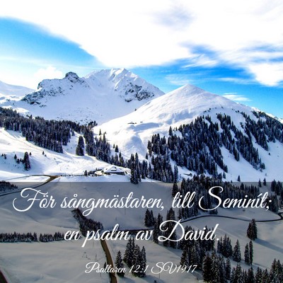 Picture 03 - Psaltaren 12:1 SV1917 - För sångmästaren, till Seminít; en psalm av - Bible Verse Picture