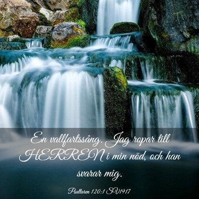 Picture 03 - Psaltaren 120:1 SV1917 - En vallfartssång. Jag ropar till HERREN i min - Bible Verse Picture