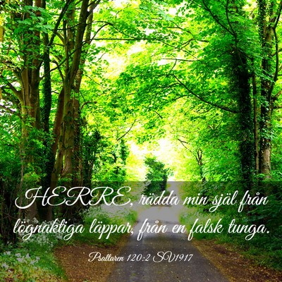 Picture 03 - Psaltaren 120:2 SV1917 - HERRE, rädda min själ från lögnaktiga - Bible Verse Picture