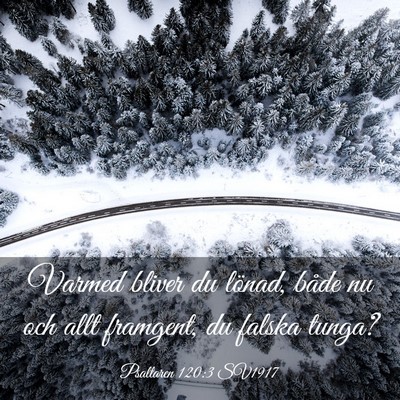 Picture 03 - Psaltaren 120:3 SV1917 - Varmed bliver du lönad, både nu och allt - Bible Verse Picture