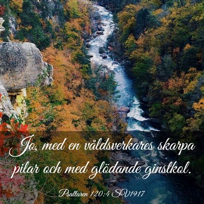 Picture 03 - Psaltaren 120:4 SV1917 - Jo, med en våldsverkares skarpa pilar och med - Bible Verse Picture
