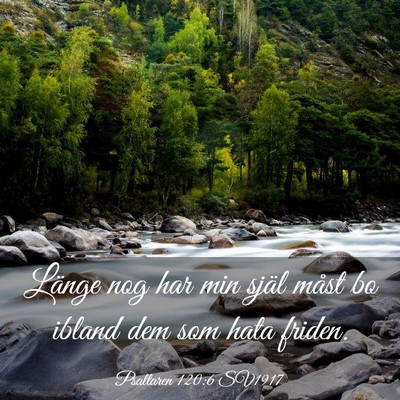 Picture 03 - Psaltaren 120:6 SV1917 - Länge nog har min själ måst bo ibland dem som - Bible Verse Picture