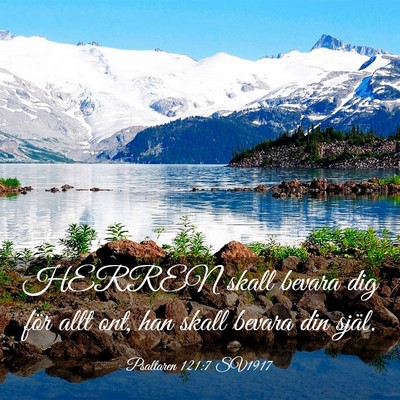 Picture 03 - Psaltaren 121:7 SV1917 - HERREN skall bevara dig för allt ont, han skall - Bible Verse Picture