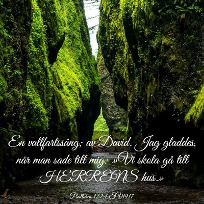 Picture 03 - Psaltaren 122:1 SV1917 - En vallfartssång; av David. Jag gladdes, när - Bible Verse Picture