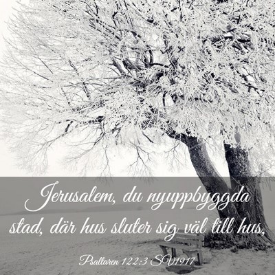Picture 03 - Psaltaren 122:3 SV1917 - Jerusalem, du nyuppbyggda stad, där hus sluter - Bible Verse Picture