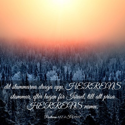 Picture 03 - Psaltaren 122:4 SV1917 - dit stammarna draga upp, HERRENS stammar, efter - Bible Verse Picture