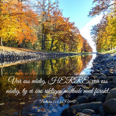 Picture 03 - Psaltaren 123:3 SV1917 - Var oss nådig, HERRE, var oss nådig, ty vi äro - Bible Verse Picture