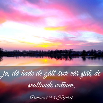 Picture 03 - Psaltaren 124:5 SV1917 - ja, då hade de gått över vår själ, de - Bible Verse Picture