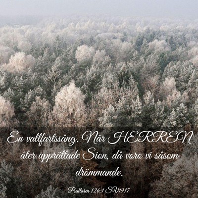 Picture 03 - Psaltaren 126:1 SV1917 - En vallfartssång. När HERREN åter upprättade - Bible Verse Picture