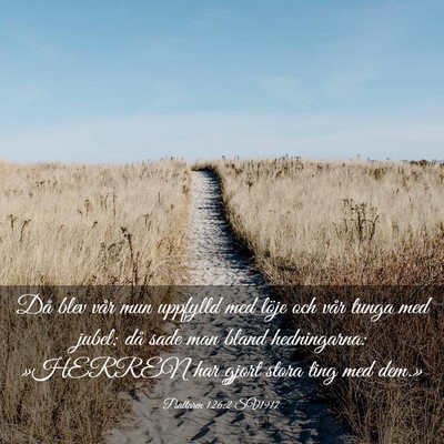 Picture 03 - Psaltaren 126:2 SV1917 - Då blev vår mun uppfylld med löje och vår - Bible Verse Picture