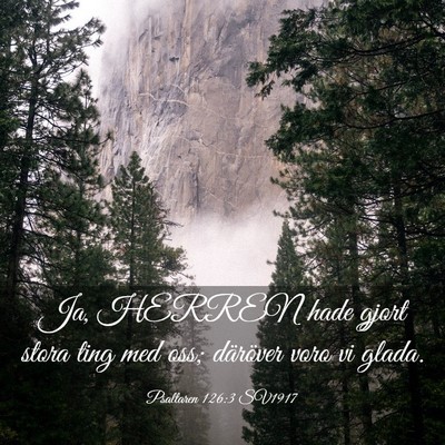 Picture 03 - Psaltaren 126:3 SV1917 - Ja, HERREN hade gjort stora ting med oss; - Bible Verse Picture