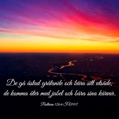 Picture 03 - Psaltaren 126:6 SV1917 - De gå åstad gråtande och bära sitt utsäde; - Bible Verse Picture