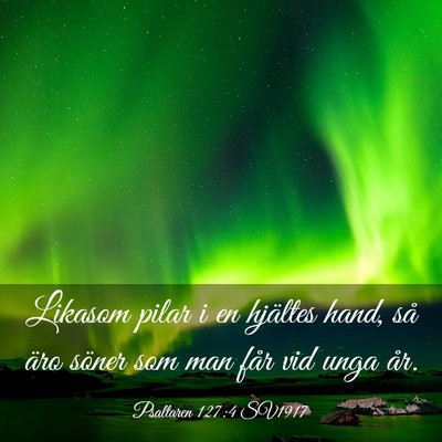 Picture 03 - Psaltaren 127:4 SV1917 - Likasom pilar i en hjältes hand, så äro söner - Bible Verse Picture