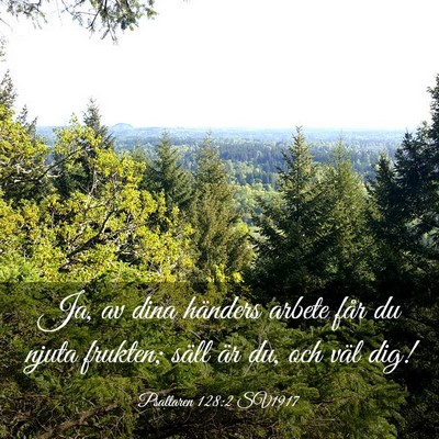 Picture 03 - Psaltaren 128:2 SV1917 - Ja, av dina händers arbete får du njuta - Bible Verse Picture