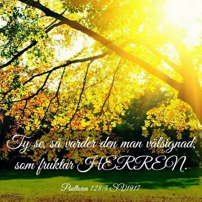 Picture 03 - Psaltaren 128:4 SV1917 - Ty se, så varder den man välsignad, som fruktar - Bible Verse Picture