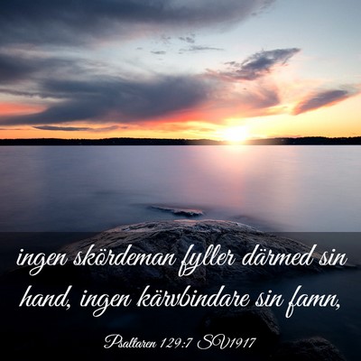 Picture 03 - Psaltaren 129:7 SV1917 - ingen skördeman fyller därmed sin hand, ingen - Bible Verse Picture