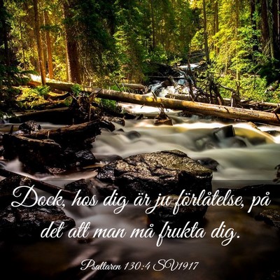 Picture 03 - Psaltaren 130:4 SV1917 - Dock, hos dig är ju förlåtelse, på det att - Bible Verse Picture