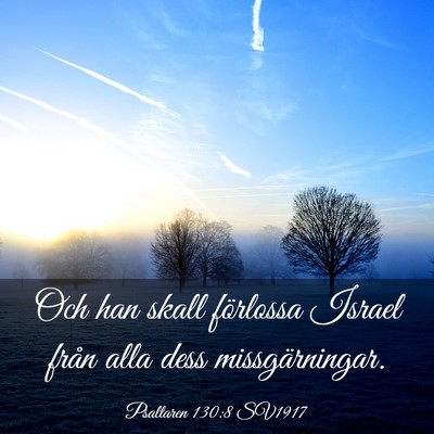 Picture 03 - Psaltaren 130:8 SV1917 - Och han skall förlossa Israel från alla dess - Bible Verse Picture