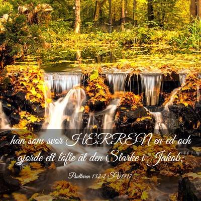 Picture 03 - Psaltaren 132:2 SV1917 - han som svor HERREN en ed och gjorde ett löfte - Bible Verse Picture