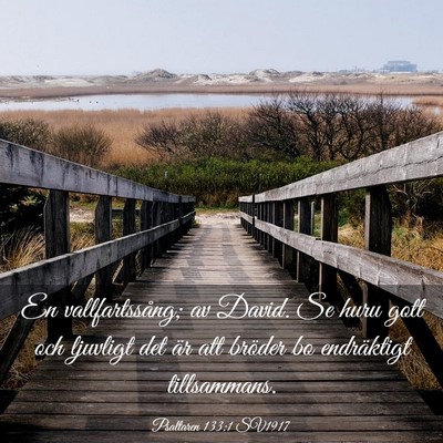 Picture 03 - Psaltaren 133:1 SV1917 - En vallfartssång; av David. Se huru gott och - Bible Verse Picture