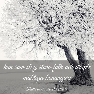 Picture 03 - Psaltaren 135:10 SV1917 - han som slog stora folk och dräpte mäktiga - Bible Verse Picture