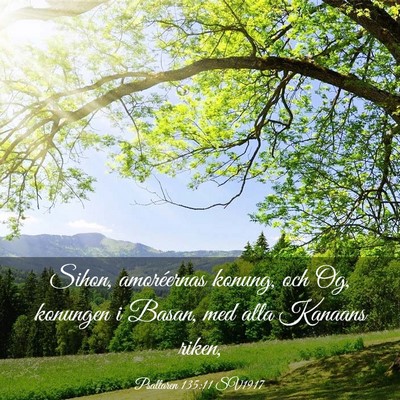 Picture 03 - Psaltaren 135:11 SV1917 - Sihon, amoréernas konung, och Og, konungen i - Bible Verse Picture