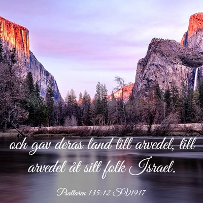 Picture 03 - Psaltaren 135:12 SV1917 - och gav deras land till arvedel, till arvedel åt - Bible Verse Picture