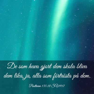 Picture 03 - Psaltaren 135:18 SV1917 - De som hava gjort dem skola bliva dem lika, ja, - Bible Verse Picture