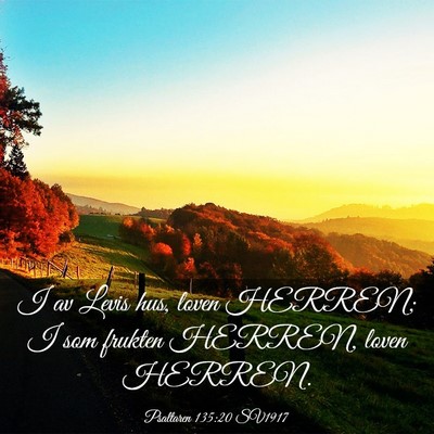 Picture 03 - Psaltaren 135:20 SV1917 - I av Levis hus, loven HERREN; I som frukten - Bible Verse Picture