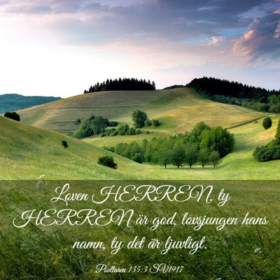 Picture 03 - Psaltaren 135:3 SV1917 - Loven HERREN, ty HERREN är god, lovsjungen hans - Bible Verse Picture