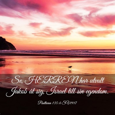 Picture 03 - Psaltaren 135:4 SV1917 - Se, HERREN har utvalt Jakob åt sig, Israel till - Bible Verse Picture
