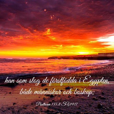 Picture 03 - Psaltaren 135:8 SV1917 - han som slog de förstfödda i Egypten, både - Bible Verse Picture
