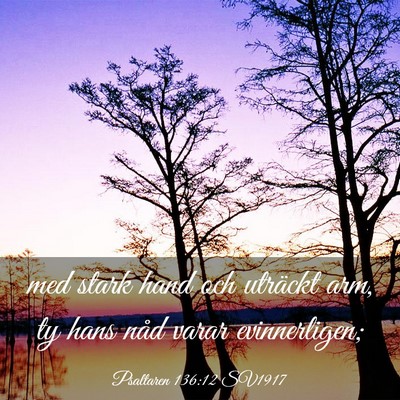 Picture 03 - Psaltaren 136:12 SV1917 - med stark hand och uträckt arm, ty hans nåd - Bible Verse Picture