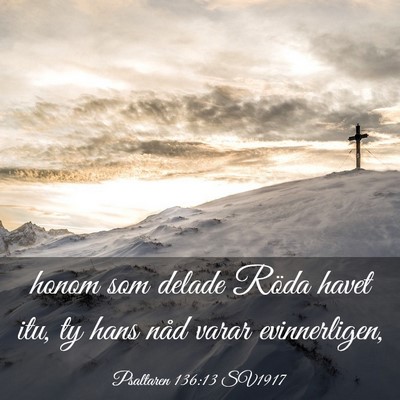 Picture 03 - Psaltaren 136:13 SV1917 - honom som delade Röda havet itu, ty hans nåd - Bible Verse Picture