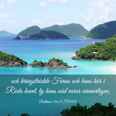 Picture 03 - Psaltaren 136:15 SV1917 - och kringströdde Farao och hans här i Röda - Bible Verse Picture