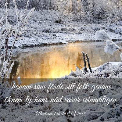 Picture 03 - Psaltaren 136:16 SV1917 - honom som förde sitt folk genom öknen, ty hans - Bible Verse Picture