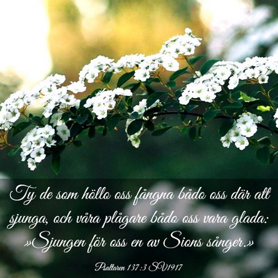 Picture 03 - Psaltaren 137:3 SV1917 - Ty de som höllo oss fångna bådo oss där att - Bible Verse Picture