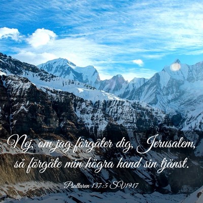Picture 03 - Psaltaren 137:5 SV1917 - Nej, om jag förgäter dig, Jerusalem, så - Bible Verse Picture
