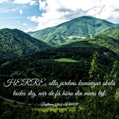 Picture 03 - Psaltaren 138:4 SV1917 - HERRE, alla jordens konungar skola tacka dig, - Bible Verse Picture