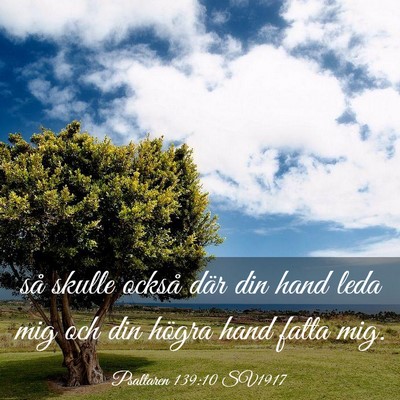 Picture 03 - Psaltaren 139:10 SV1917 - så skulle också där din hand leda mig och din - Bible Verse Picture