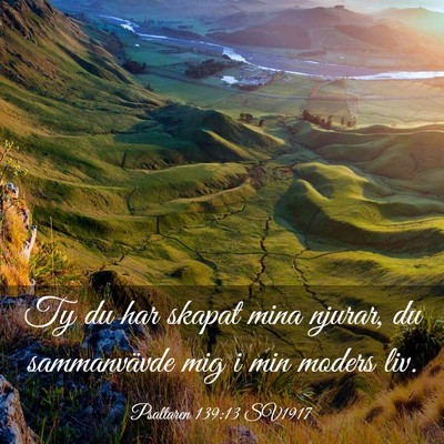 Picture 03 - Psaltaren 139:13 SV1917 - Ty du har skapat mina njurar, du sammanvävde mig - Bible Verse Picture