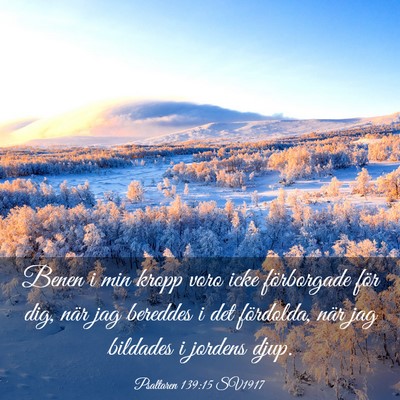 Picture 03 - Psaltaren 139:15 SV1917 - Benen i min kropp voro icke förborgade för dig, - Bible Verse Picture