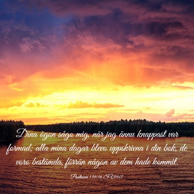 Picture 03 - Psaltaren 139:16 SV1917 - Dina ögon sågo mig, när jag ännu knappast var - Bible Verse Picture