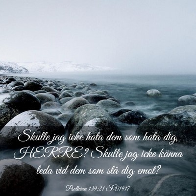 Picture 03 - Psaltaren 139:21 SV1917 - Skulle jag icke hata dem som hata dig, HERRE? - Bible Verse Picture