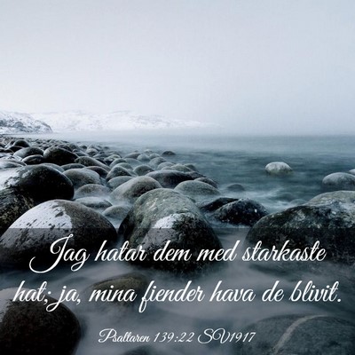 Picture 03 - Psaltaren 139:22 SV1917 - Jag hatar dem med starkaste hat; ja, mina fiender - Bible Verse Picture