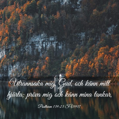 Picture 03 - Psaltaren 139:23 SV1917 - Utrannsaka mig, Gud, och känn mitt hjärta; - Bible Verse Picture